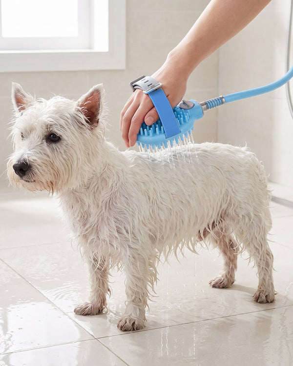 Small white dog being rinsed with a shower sprayer
