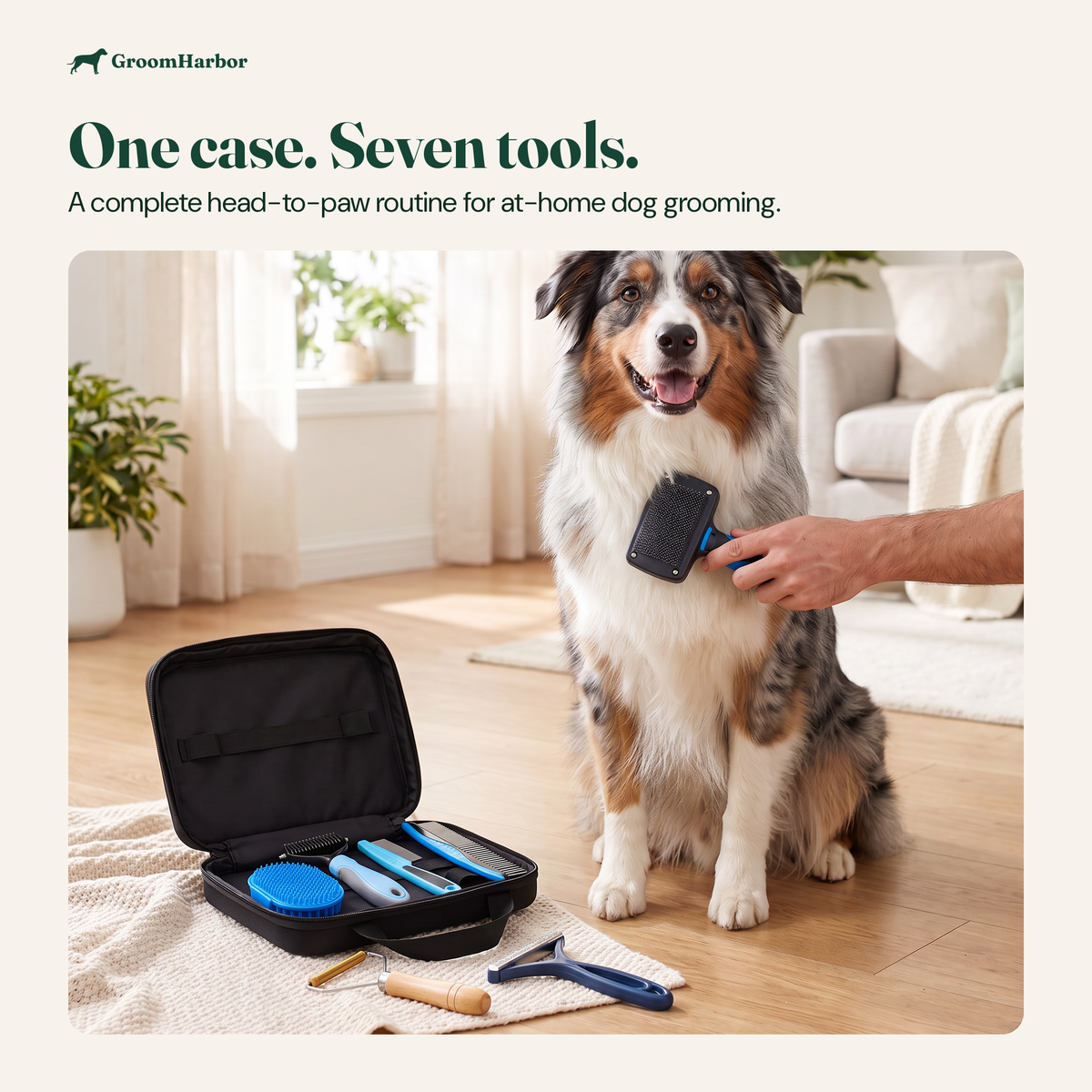 At-home dog grooming routine with brushes and grooming tools