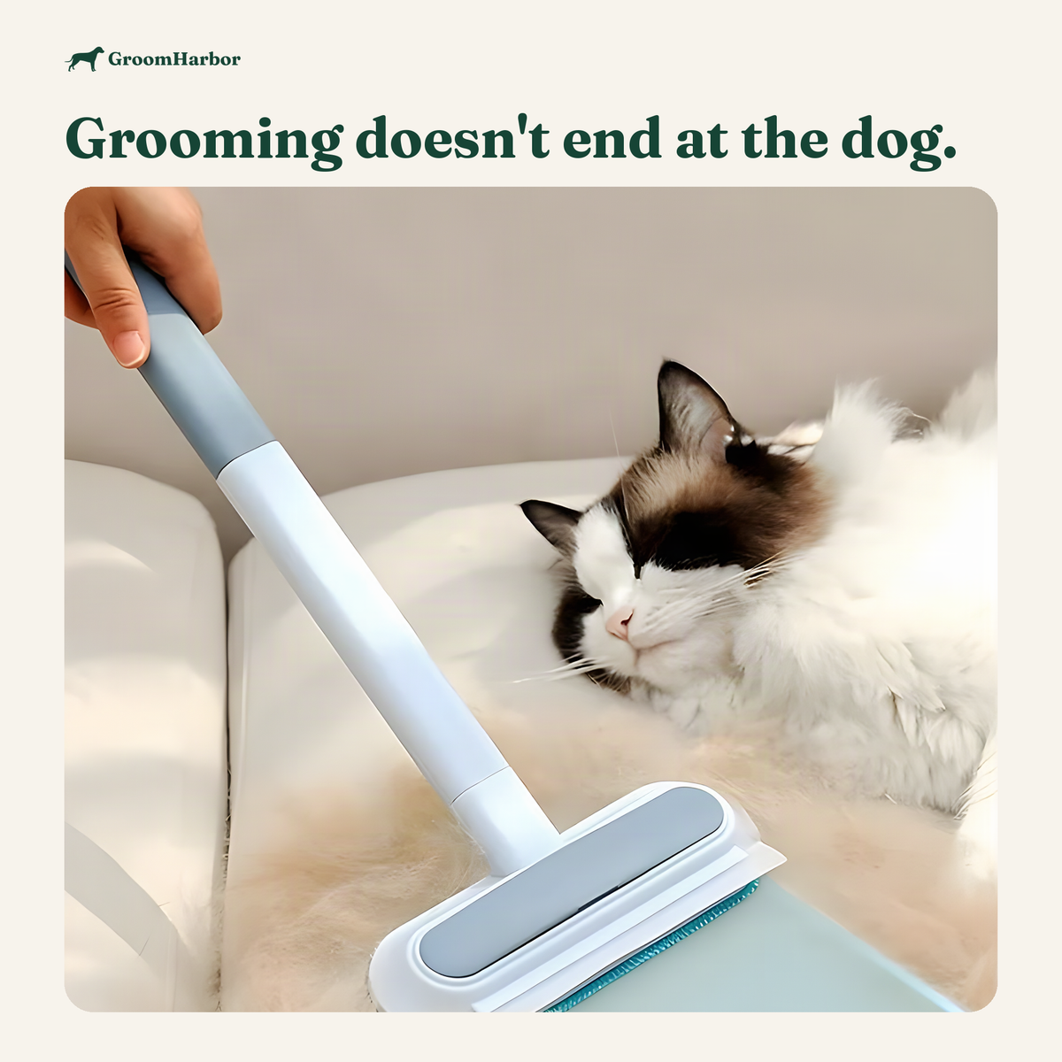 LiftAway pet hair remover brush lifting pet hair off a fabric couch
