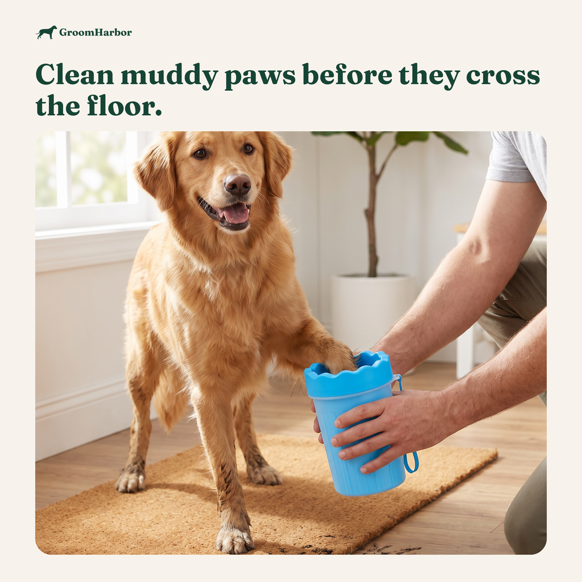 Cleaning a dog's muddy paw after a walk with a paw rinse cup at home
