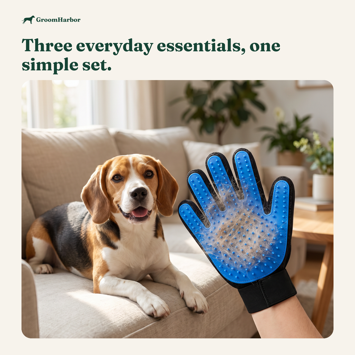 Puppy grooming at home with a grooming glove, nail clippers and finger toothbrush
