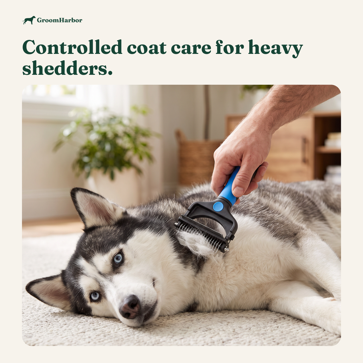 Undercoat rake and slicker brush types for dog coats, in use at home