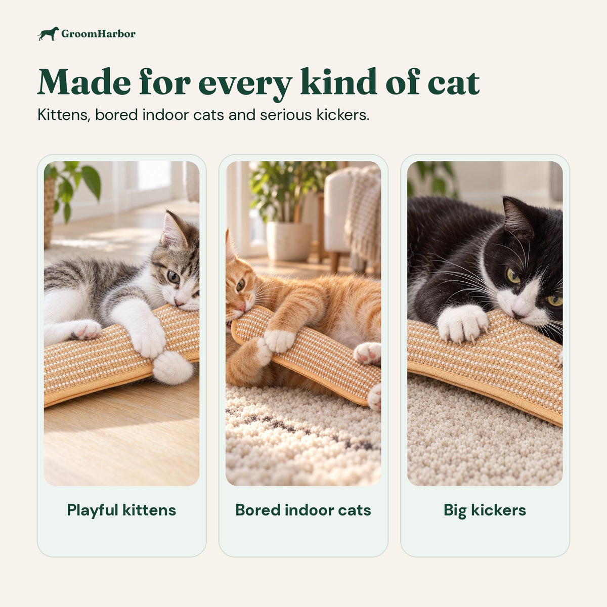Who the kicker is for: playful kittens, bored indoor cats and big kickers