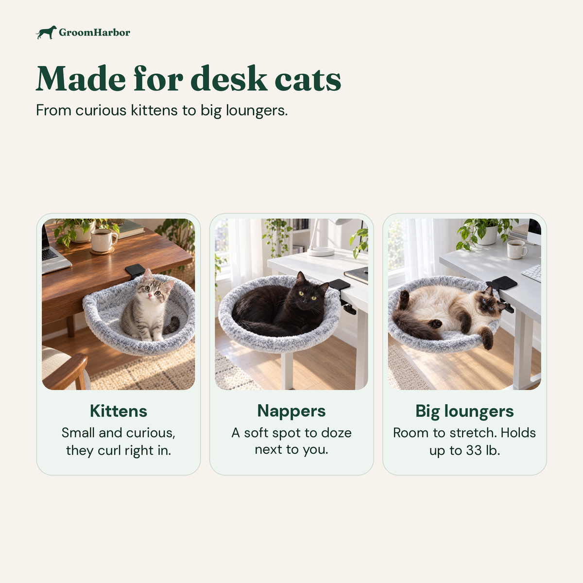 Kitten, black cat and Siamese cat resting in the clamp-on cat desk bed