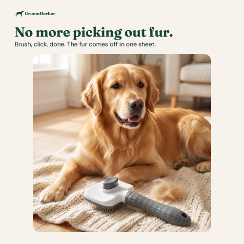 Golden retriever relaxing at home next to the CleanPin self-cleaning slicker brush