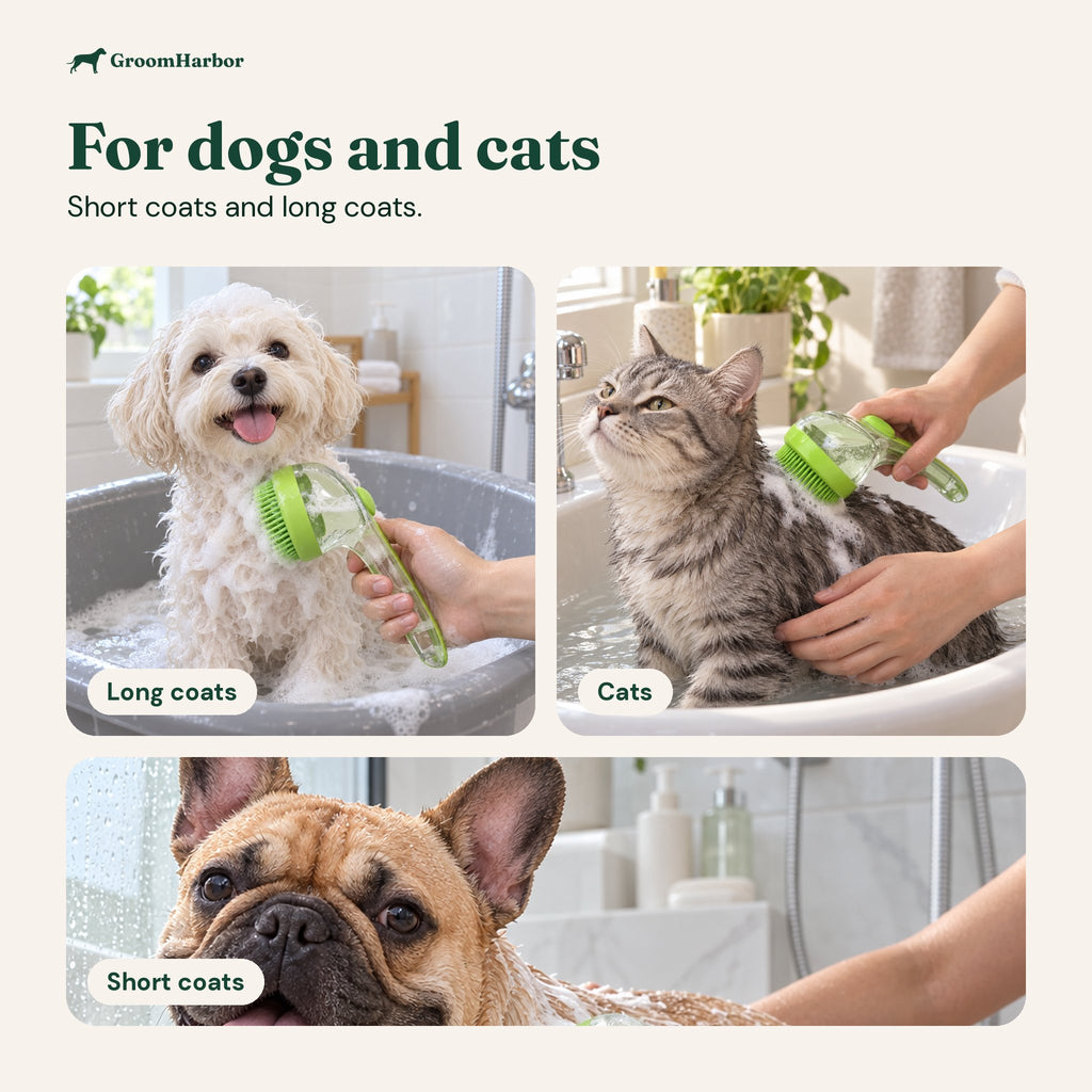 Small fluffy dog, tabby cat and short-haired dog being bathed with the foaming silicone bath brush