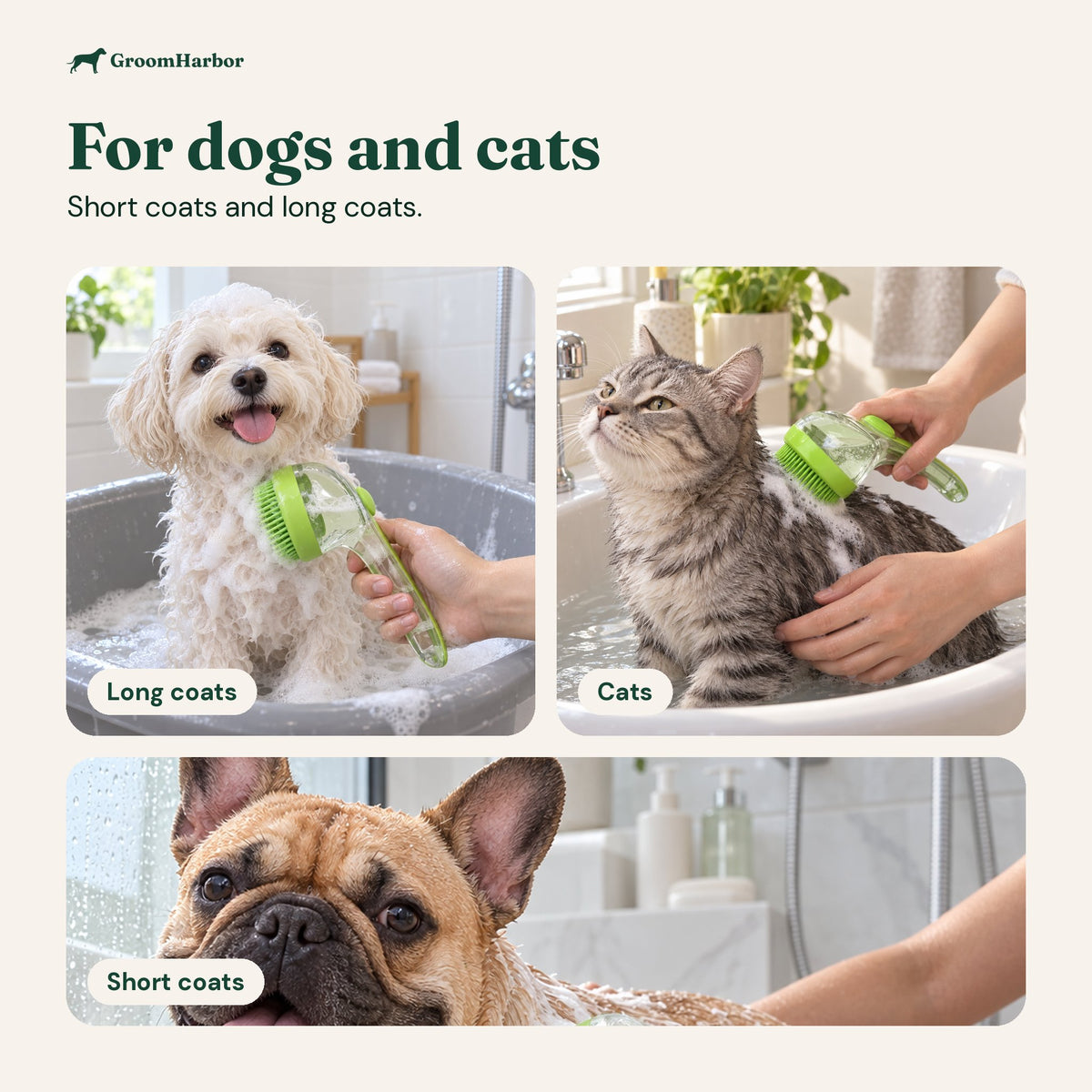 Small fluffy dog, tabby cat and short-haired dog being bathed with the foaming silicone bath brush