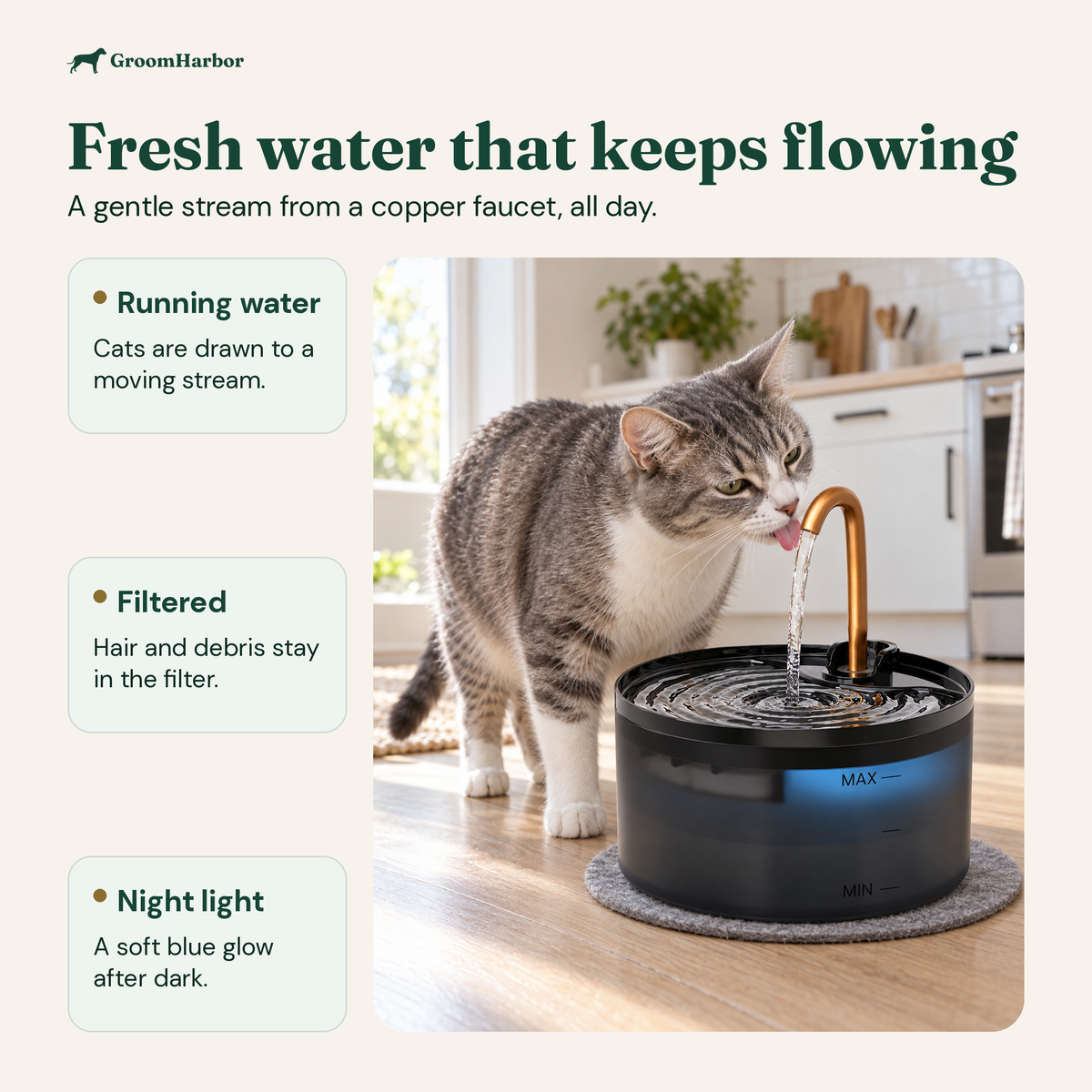 Tabby cat drinking from the GroomHarbor Faucet Fountain's running stream