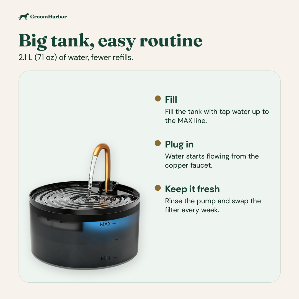 2.1 L faucet fountain: fill to MAX, plug in, swap the filter weekly