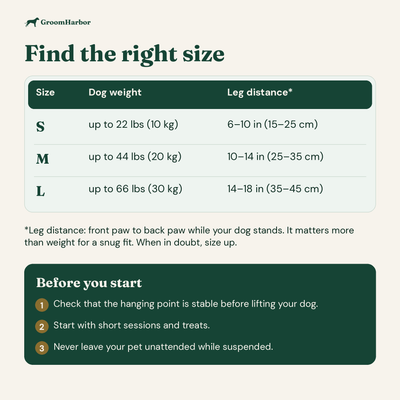 Find the right size by dog weight and leg distance, plus safety tips before you start
