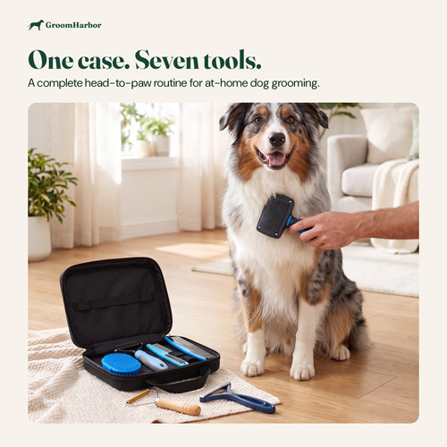 Complete Grooming Kit: in use at home