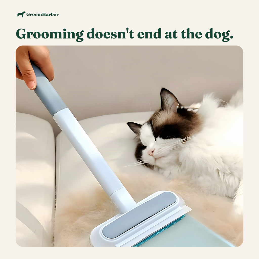 LiftAway 3-in-1 Pet Hair Remover: in use at home