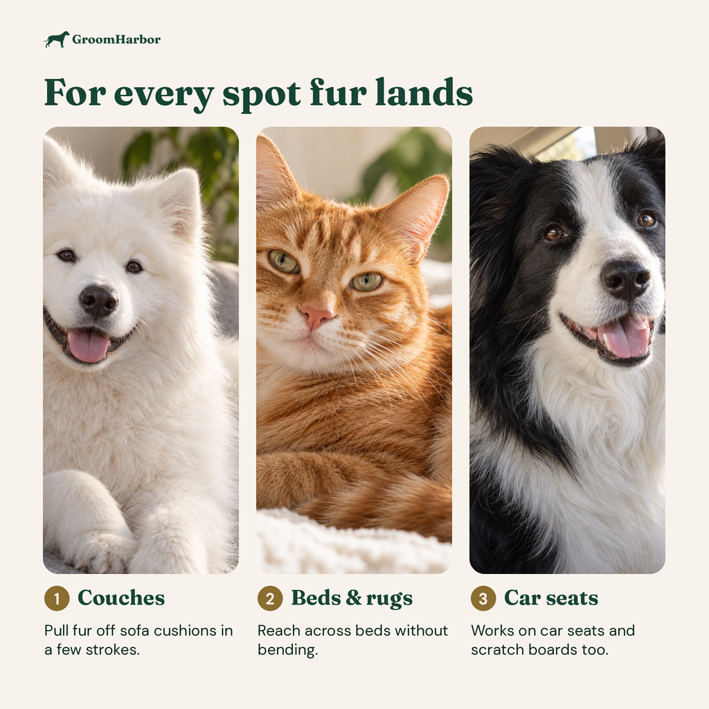 Who the LiftAway 3-in-1 Pet Hair Remover is for