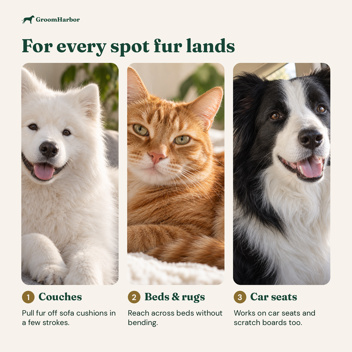 Who the LiftAway 3-in-1 Pet Hair Remover is for