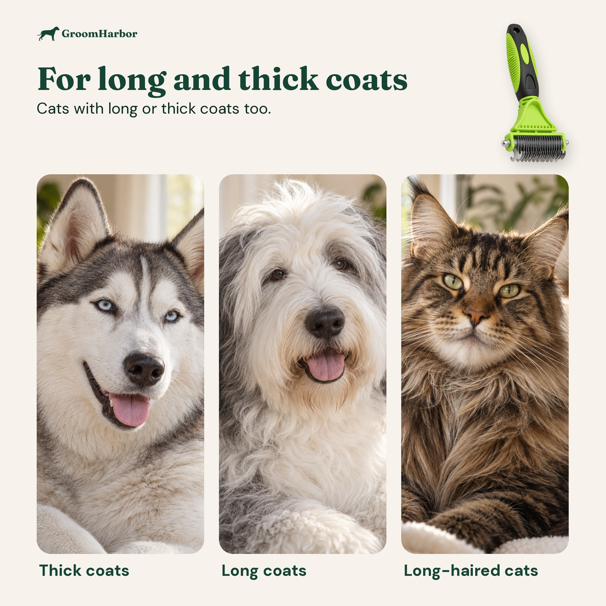 For long and thick coats: a husky, a long-haired dog and a long-haired cat