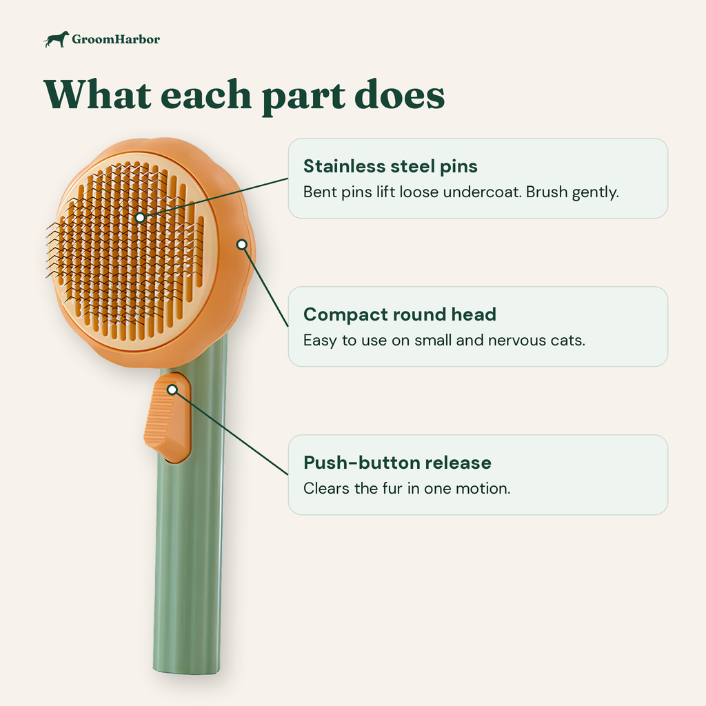 PopClean Self-Cleaning Cat Brush: parts and features