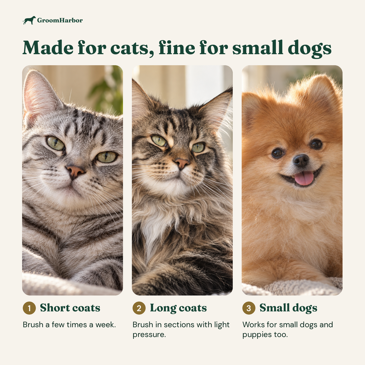 Who the PopClean Self-Cleaning Cat Brush is for