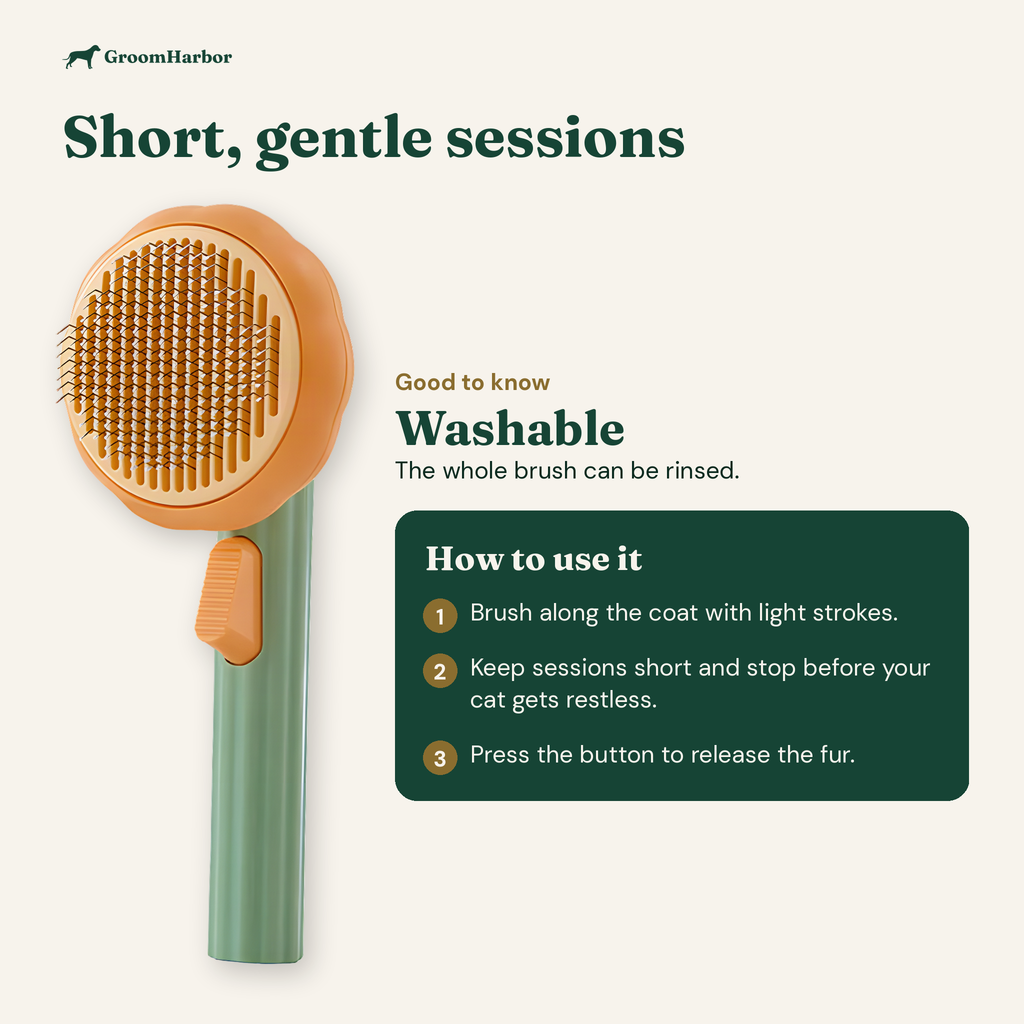 PopClean Self-Cleaning Cat Brush: size and how to use it