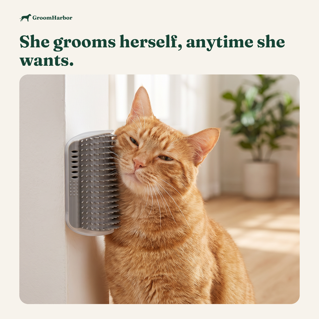 PurrCorner Cat Self Groomer: in use at home