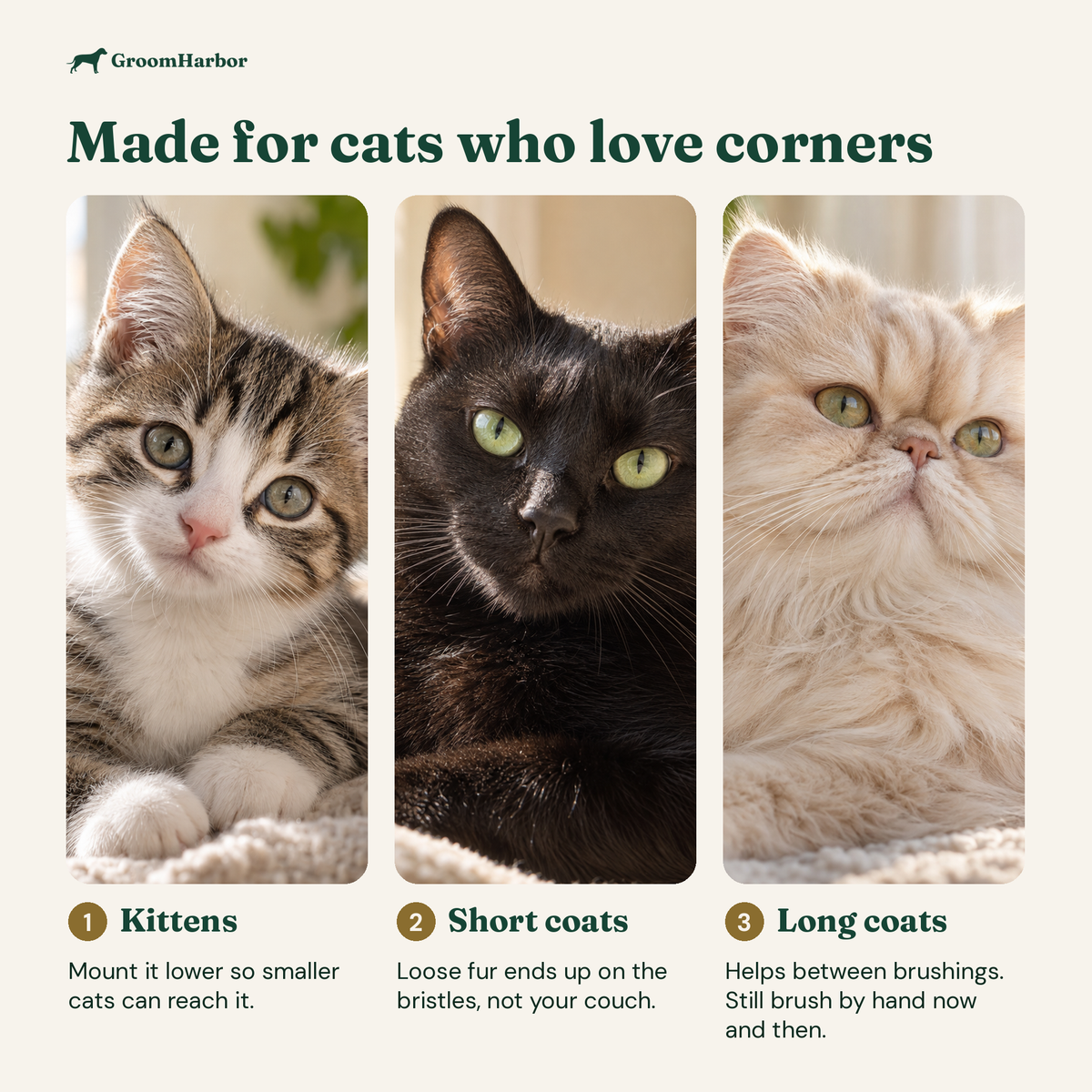 Who the PurrCorner Cat Self Groomer is for