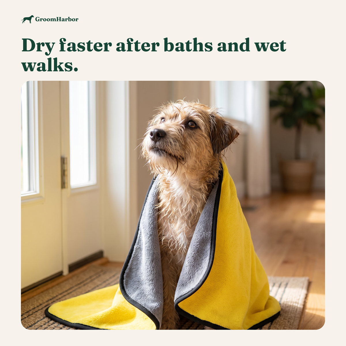 QuickDry Microfiber Pet Towel: in use at home