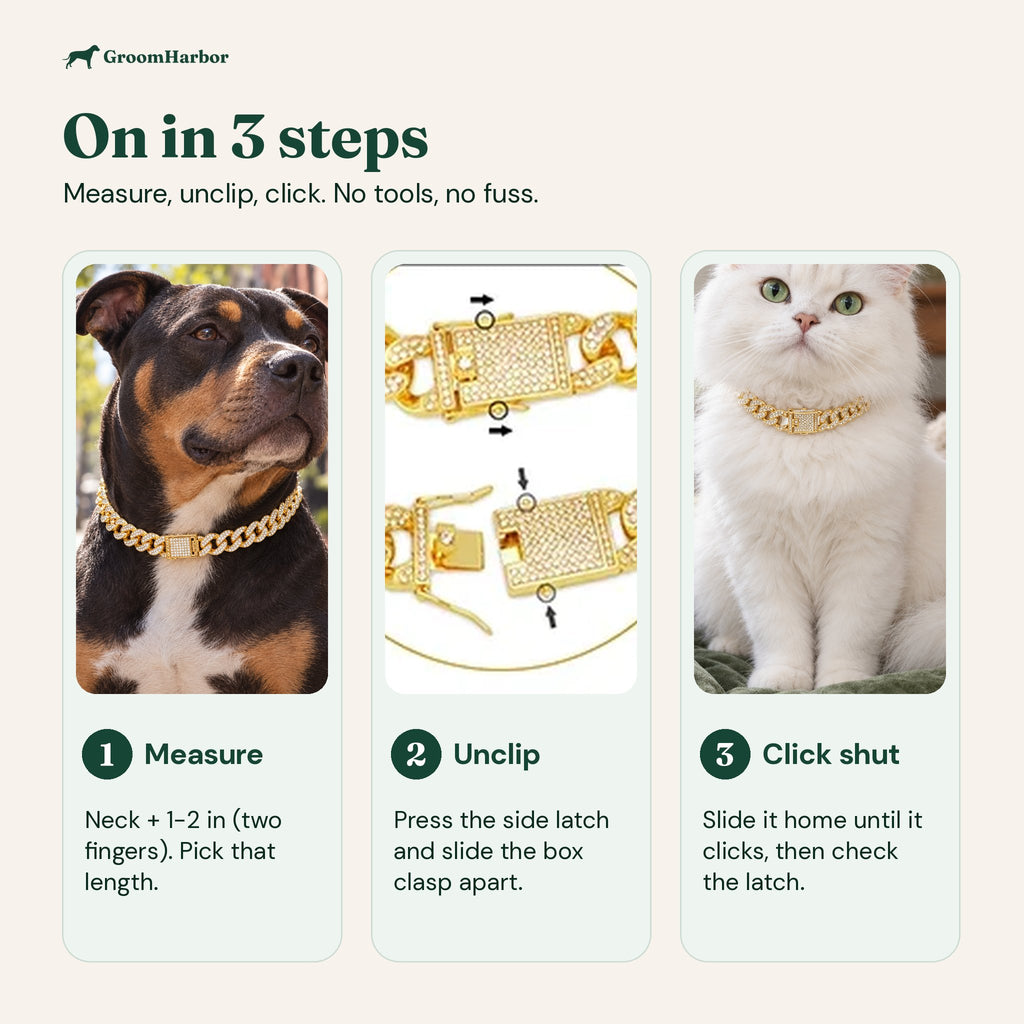 How to fit the chain collar in 3 steps: measure neck plus two fingers, open the box clasp, click it shut