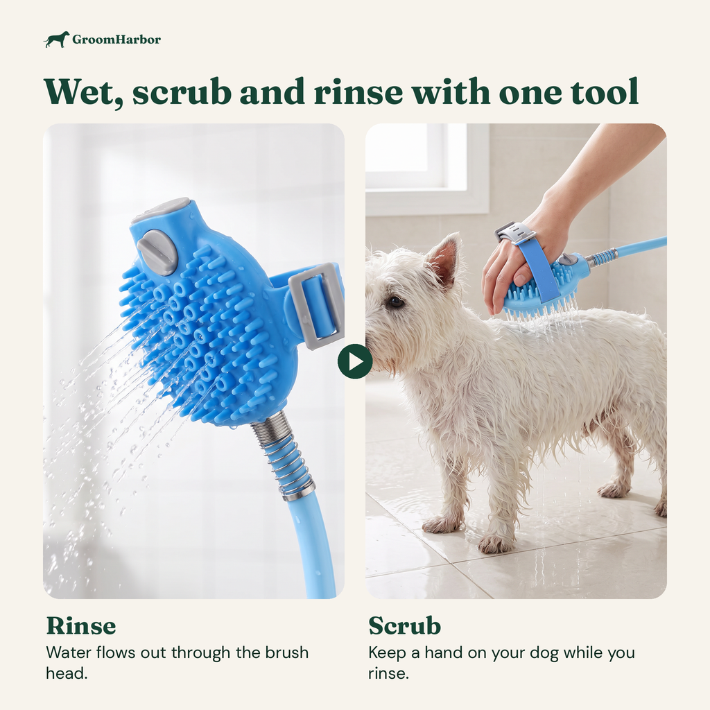 RinseMate rinses and scrubs: water flows through the brush head while you scrub your dog