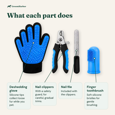 Starter Grooming Kit: parts and features