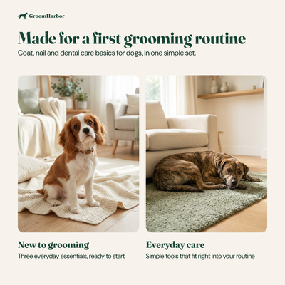 Who the Starter Grooming Kit is for