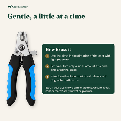 Starter Grooming Kit: size and how to use it
