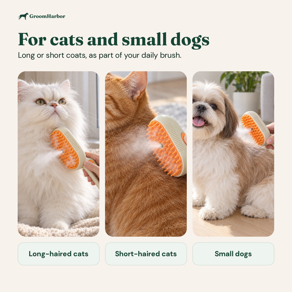 Steam cat brush used on a long-haired Persian cat, a short-haired ginger cat and a small Shih Tzu dog