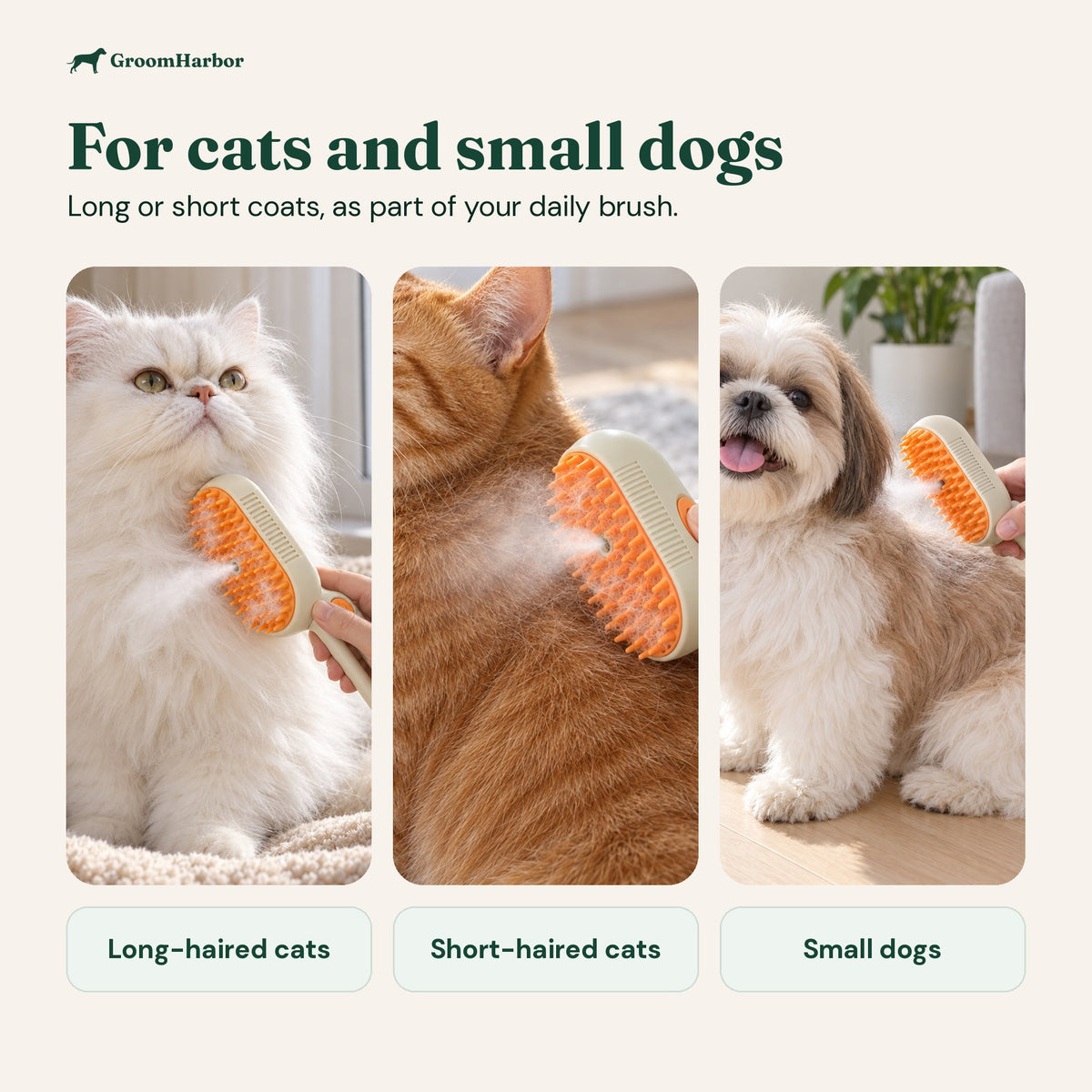 Steam cat brush used on a long-haired Persian cat, a short-haired ginger cat and a small Shih Tzu dog
