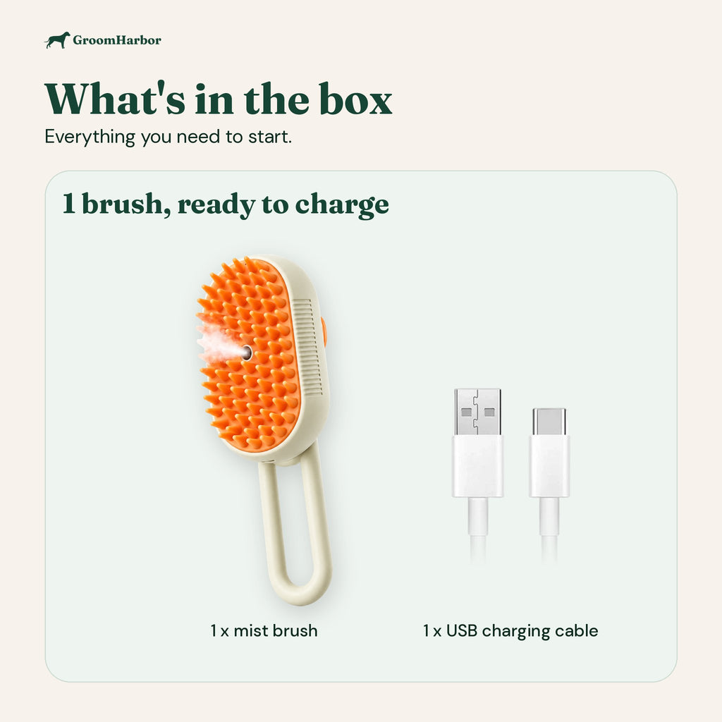 What's in the box: one steam cat brush and one USB charging cable