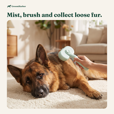German shepherd lying on a rug being brushed with the Steam Brush Pro