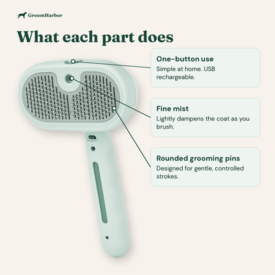 Steam Brush Pro parts: one-button mist, USB rechargeable, fine mist head and rounded grooming pins