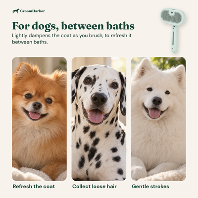 For dogs between baths: a Pomeranian, a Dalmatian and a Samoyed