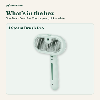 In the box: one Steam Brush Pro, available in green, pink or white