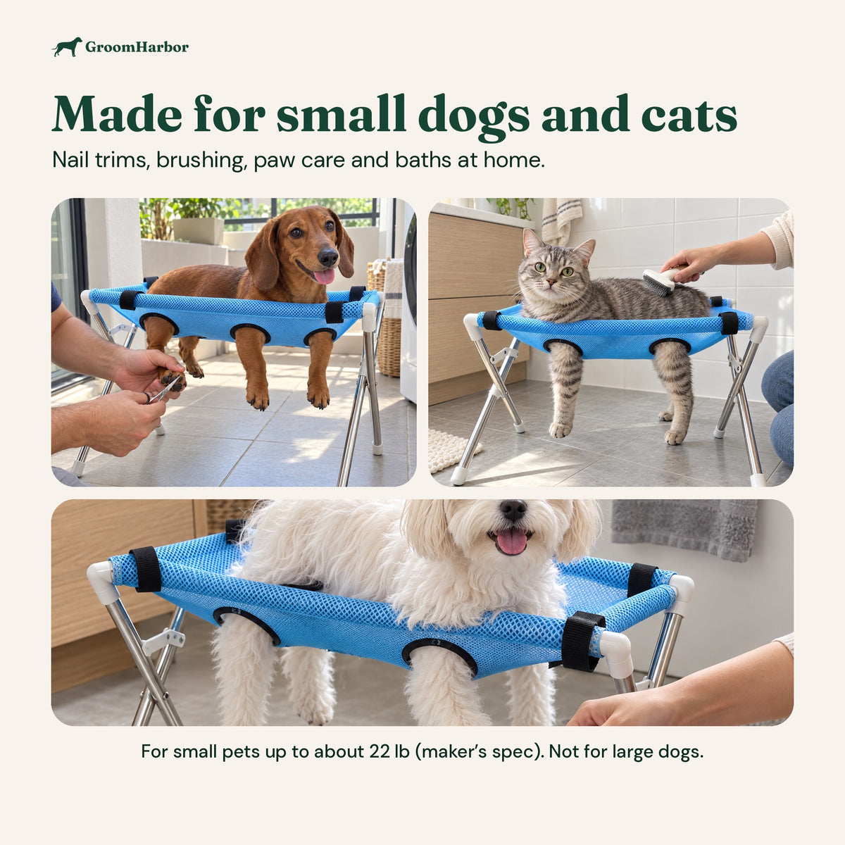 Dachshund, tabby cat and small white dog using the fold-up grooming stand for paw care, brushing and nail trims